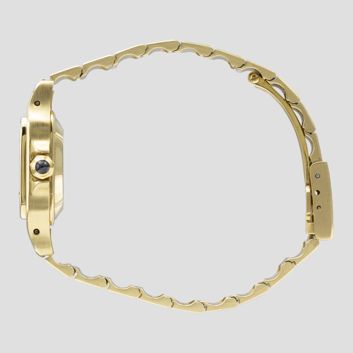 Cartier Santos